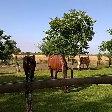 Appartement Da Castello Bagnoli di Sopra