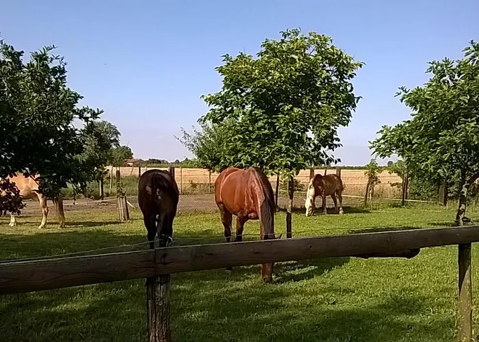 דירה Da Castello Bagnoli di Sopra